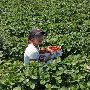 Meet your Posher, Michelle